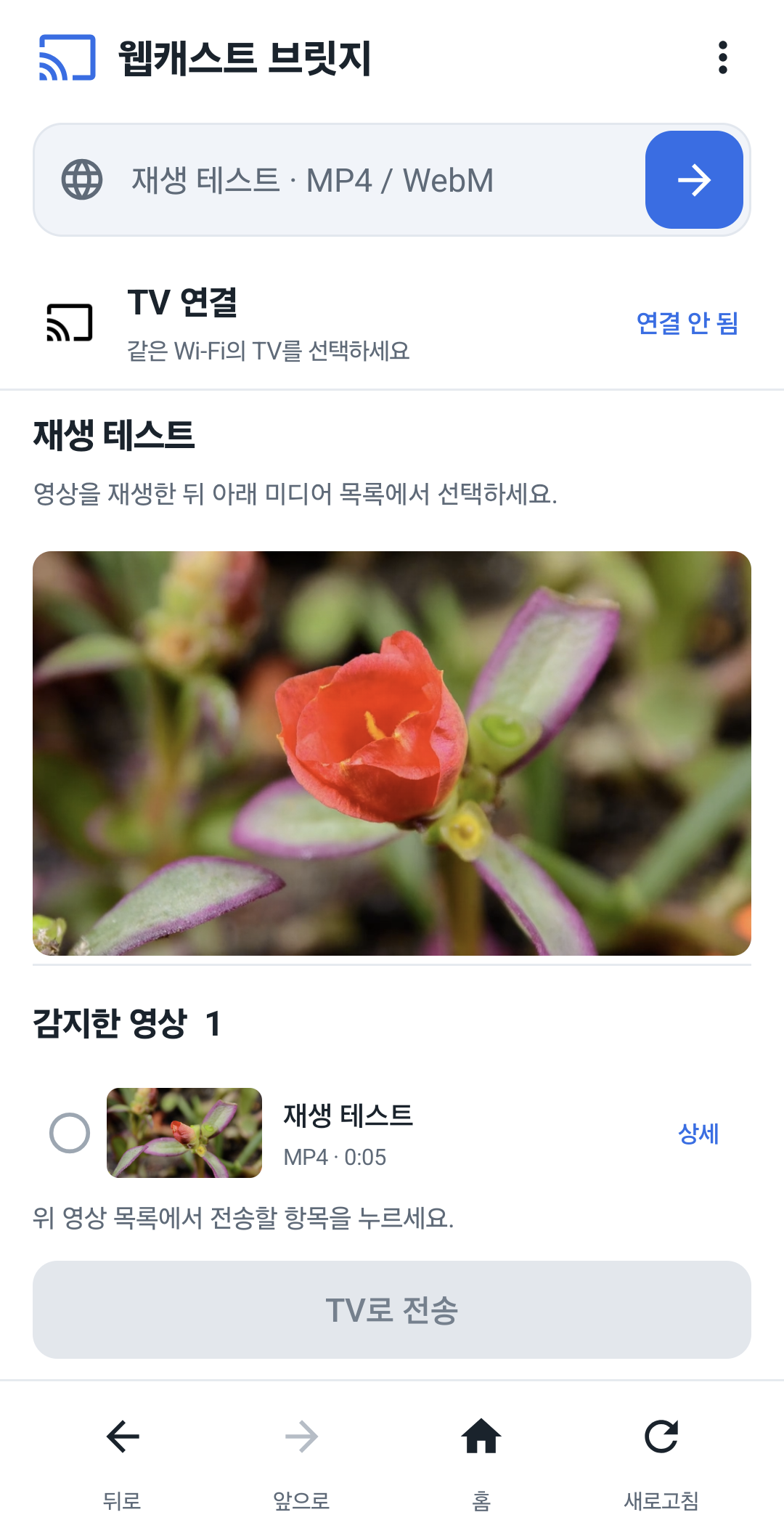 웹캐스트 브릿지에서 꽃 테스트 영상을 재생한 뒤, 대표 이미지와 함께 감지된 영상 1개가 표시된 실제 앱 화면